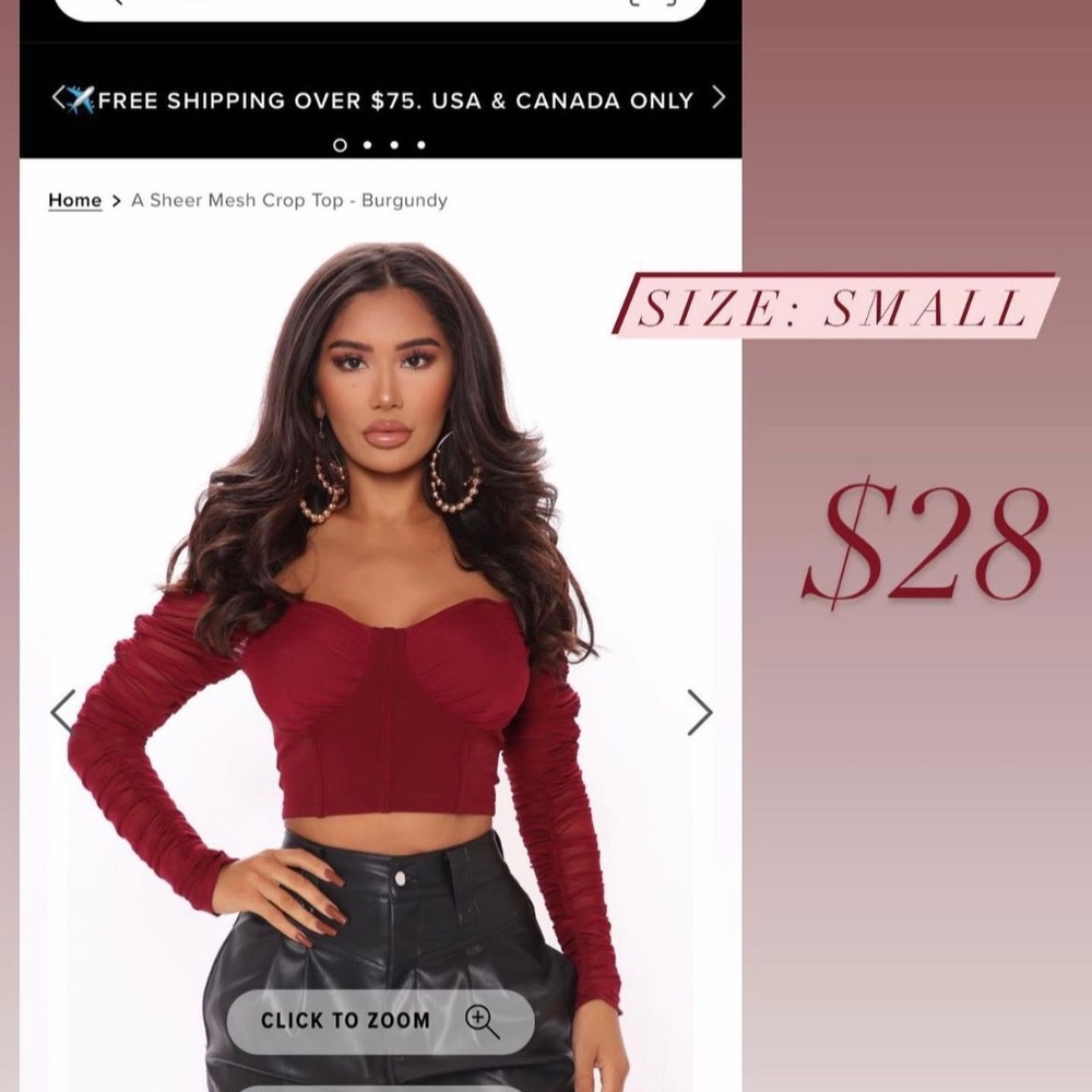 Sheer Mesh FashionNova crop top